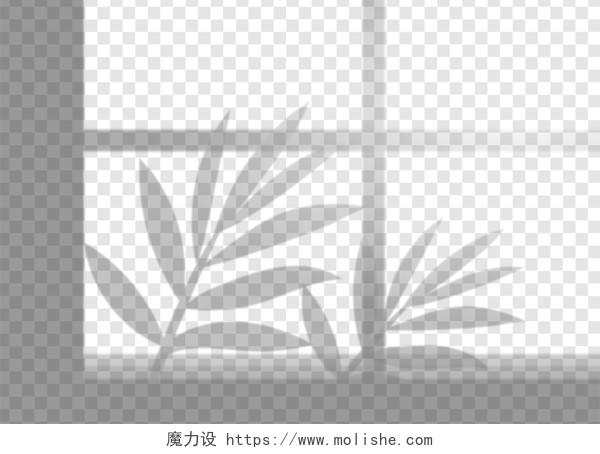 灰色大气窗户影子植物叶子自然光影展板背景自然光影背景  